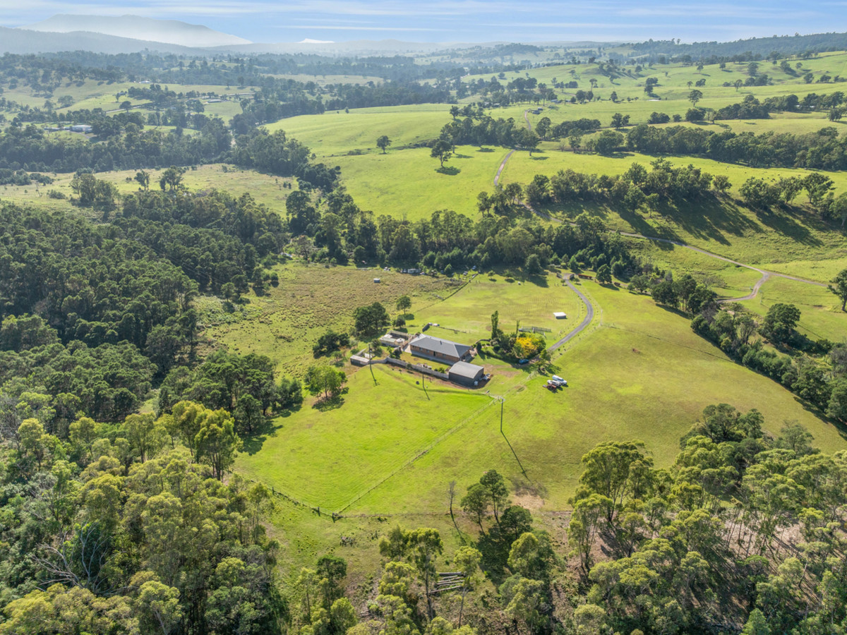 184 Barrabaroo Road, Cobargo, Cobargo - Thumbnail 2