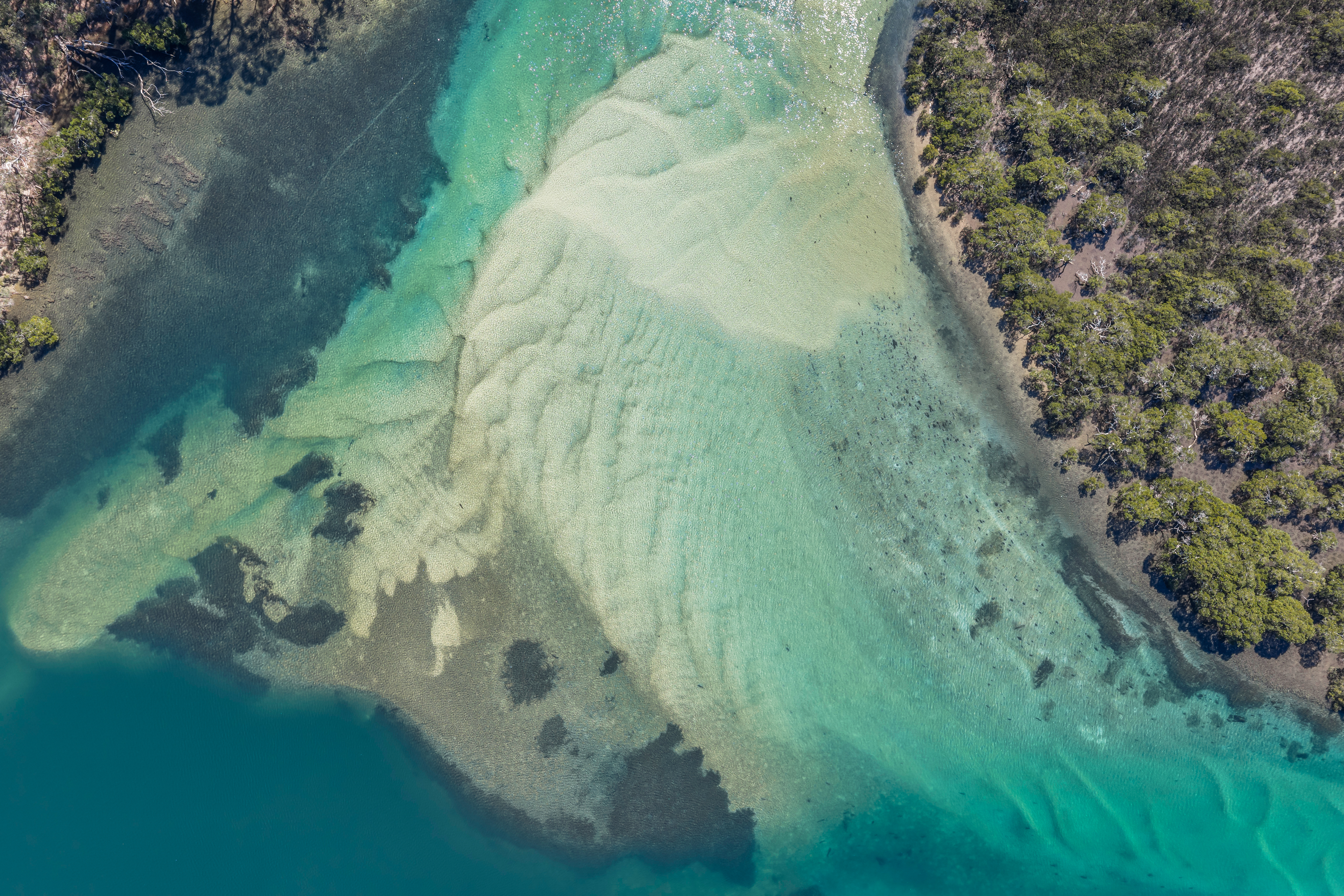 Lot 2 Black Marlin Drive, Bermagui - Image 1